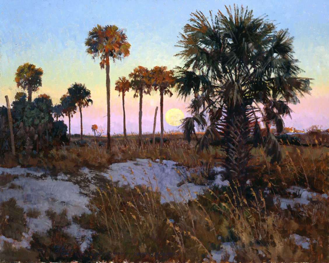 DEWEES DUSK